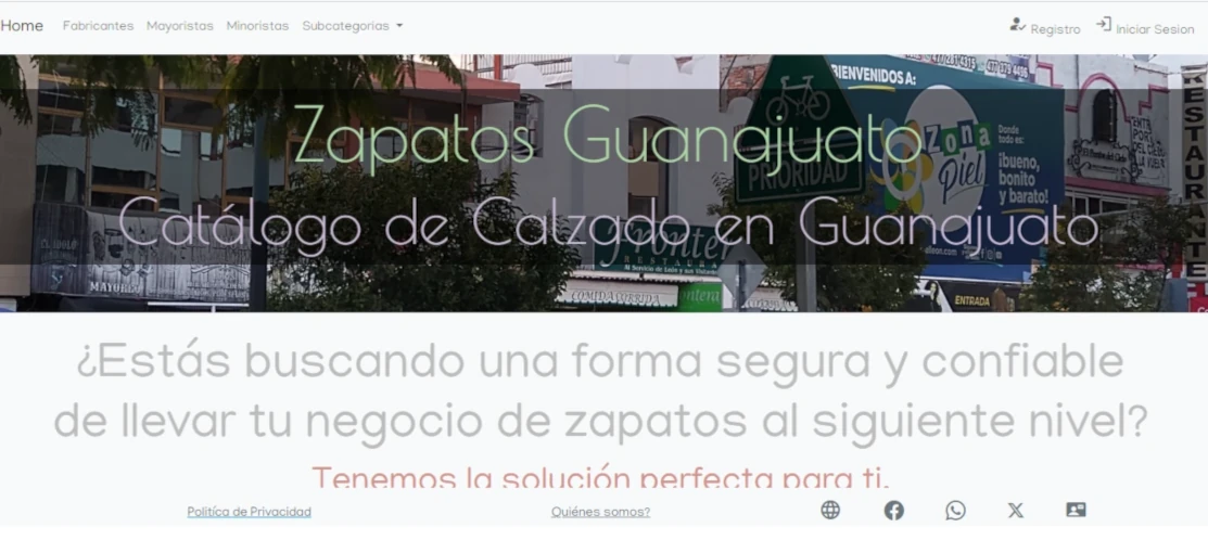 zapatosguanjuato.mx